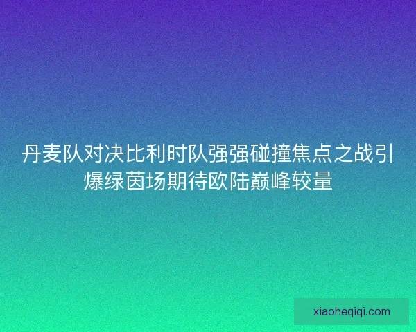 丹麦队对决比利时队强强碰撞焦点之战引爆绿茵场期待欧陆巅峰较量 丹麦队对决比利时队强强碰撞焦点之战引爆绿茵场期待欧陆巅峰较量