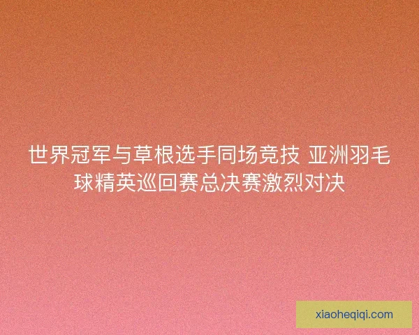 世界冠军与草根选手同场竞技 亚洲羽毛球精英巡回赛总决赛激烈对决 世界冠军与草根选手同场竞技 亚洲羽毛球精英巡回赛总决赛激烈对决